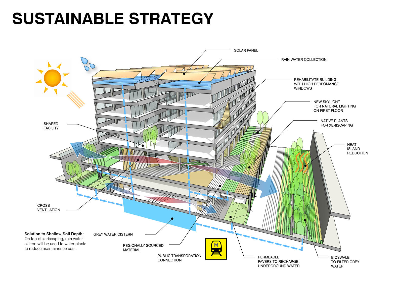 seun city walk avoid obvious sustainability