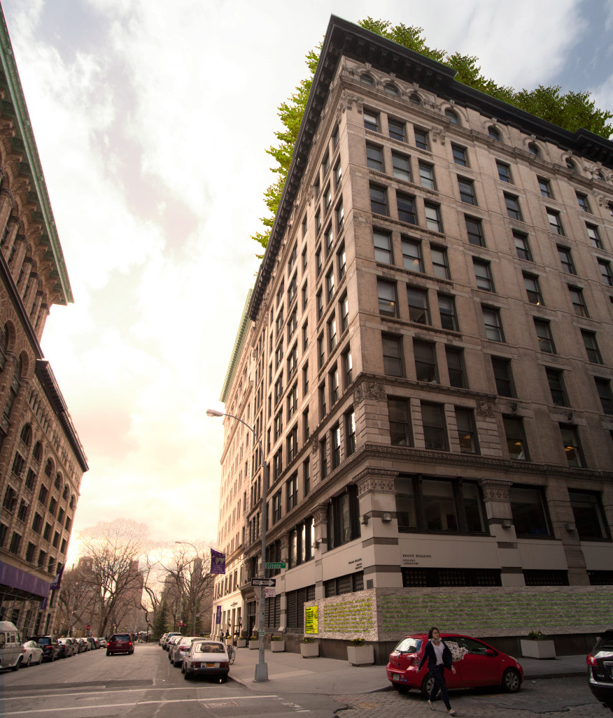 greenwall, green, vertical, planting, platns, moss, text, 3d, greenscape, landscape, triangle fire, boardway, NYU, brown building, avoid obvious