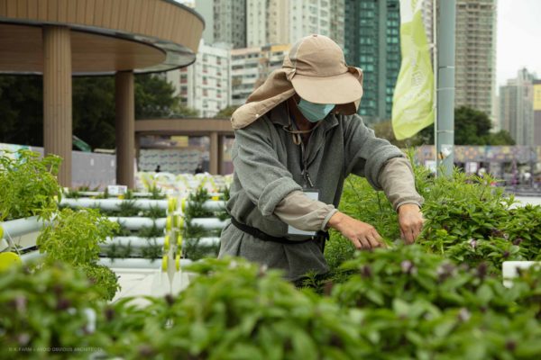 urban farm, k-farm, smart farm, aoa, avoid obvious, architects, sustainable, landscape, urban planning, vicky chan, architect, designer, green design, green building, happy city