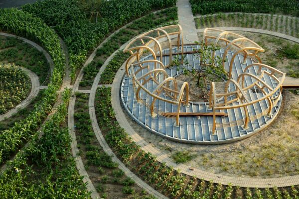 aoa, avoid obvious architects, vicky chan, net zero, sustainable, green, farming, urban farming, agriculture, chinese, education, specialist, hydroponic, chinese medicine, aquaponics, organics, plants, species, food, tradition, future, farm, placemaking, design, architecture, house, buildings